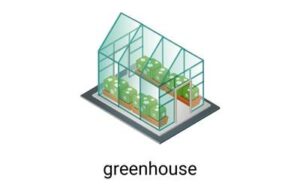 greenhouse